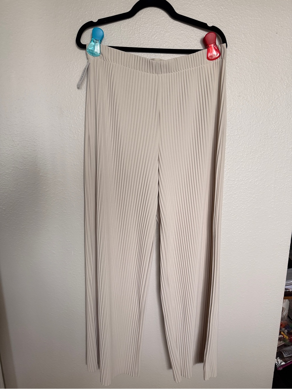 Aritzia Pleated Wide-Leg Pants in Cream